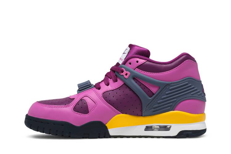 Nike Air Trainer 3 Viotech
