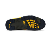 Nike Air Trainer 3 Viotech