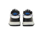 Nike Dunk Low Next Nature Tpu Swoosh GS
