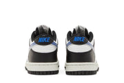 Nike Dunk Low Next Nature Tpu Swoosh GS