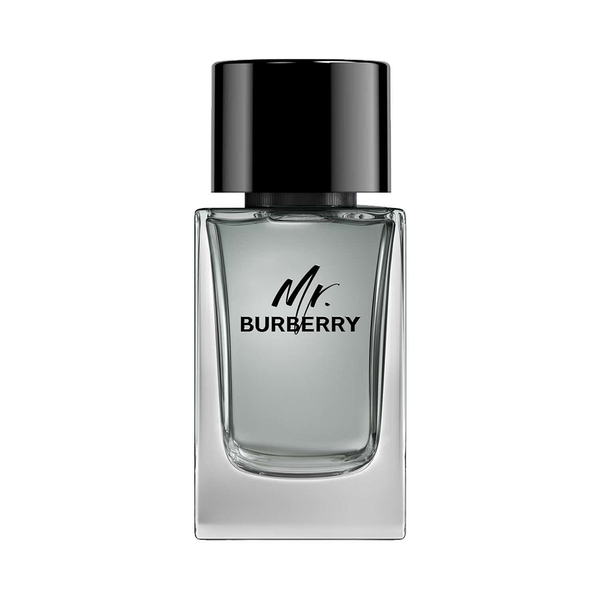 Burberry Mr. Burberry Eau De Toilette (100ml) - Burberry