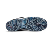 SB Dunk Low Panda Pigeon