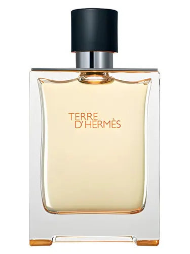 Terre d'Hermès Hermès for men