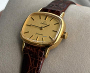 Omega Seamaster