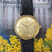 Omega Seamaster